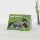 Search for funny chimp cards Wildlife
