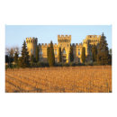 Search for viticulture posters Vineyard