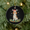 Search for pointer dog ornaments Santa
