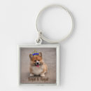 Search for cute corgi keychains Puppies