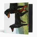 Search for doberman binders Pet