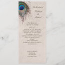 Search for peacock wedding programs Blue