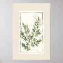 Search for fern leaves posters Botanical