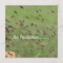 Search for flying bee invitations Bees
