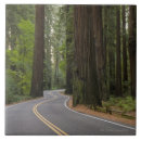 Recherche de route carreaux Paysage