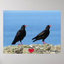 Recherche de naturalistes posters Pour tous