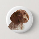 Search for shorthair buttons Hunting dog