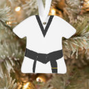 Search for art ornaments karate