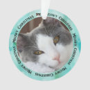 Search for kitty ornaments Animal