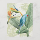 Recherche de fleur orange cartes postales Aquarelle