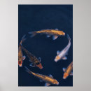 Search for koi fish posters Feng shui