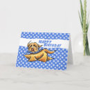 Search for havanese cards Cute