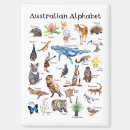 Recherche de marsupiaux magnets Animaux