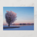 Recherche de glacial cartes postales Neige