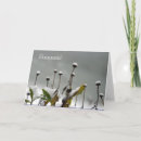 Search for daisy christmas cards Winter