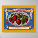Search for strawberry posters Blue