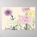 Recherche de oeillets posters Floral
