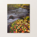 Search for autumn puzzles Blue