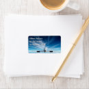 Search for jetliner Travel