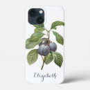 Search for plum tree iphone cases Nature