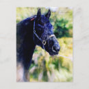 Search for digital horse postcards Angelandspot