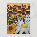 Search for apiarist postcards Floral