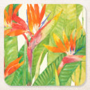 Recherche de main dessous de verres Tropical