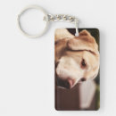 Search for canis keychains Carnivore