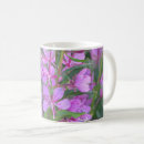 Search for fireweed mugs Wildflower