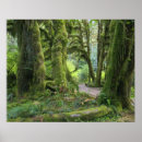 Search for washington state parks posters Tree