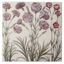 Recherche de oeillets carreaux 17ème