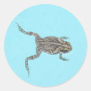 Search for amphibian stickers Toad