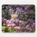 Search for rabbit ear mousepads Animal