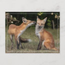 Recherche de odeurs cartes postales Nature