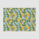 Search for lemon tree Italian