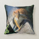 Search for red squirrel pillows Nature