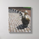 Search for ducklings canvas prints Ducks