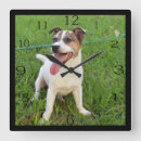 Recherche de langue horloges Dog