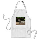 Search for gopher tortoise Reptile