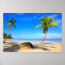 Search for palm tree tropical posters Sea