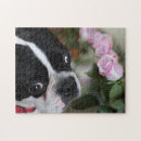 Recherche de terrier de boston puzzles Fleurs