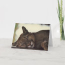 Recherche de puma vœux cartes Faune