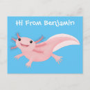 Recherche de animal mexicain cartes postales Amphibien