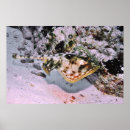 Search for stingray posters Reef