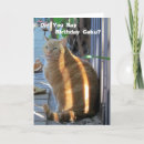 Search for funny picture birthday cards Photograph