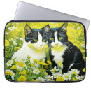 Recherche de contact coques Garder le contact