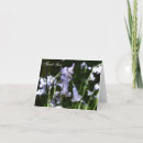 Search for bluebell cards Floral