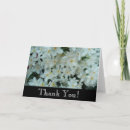 Search for paperwhite cards Flower