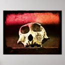 Recherche de babouin posters Afrique