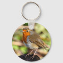 Search for red robin keychains Robins